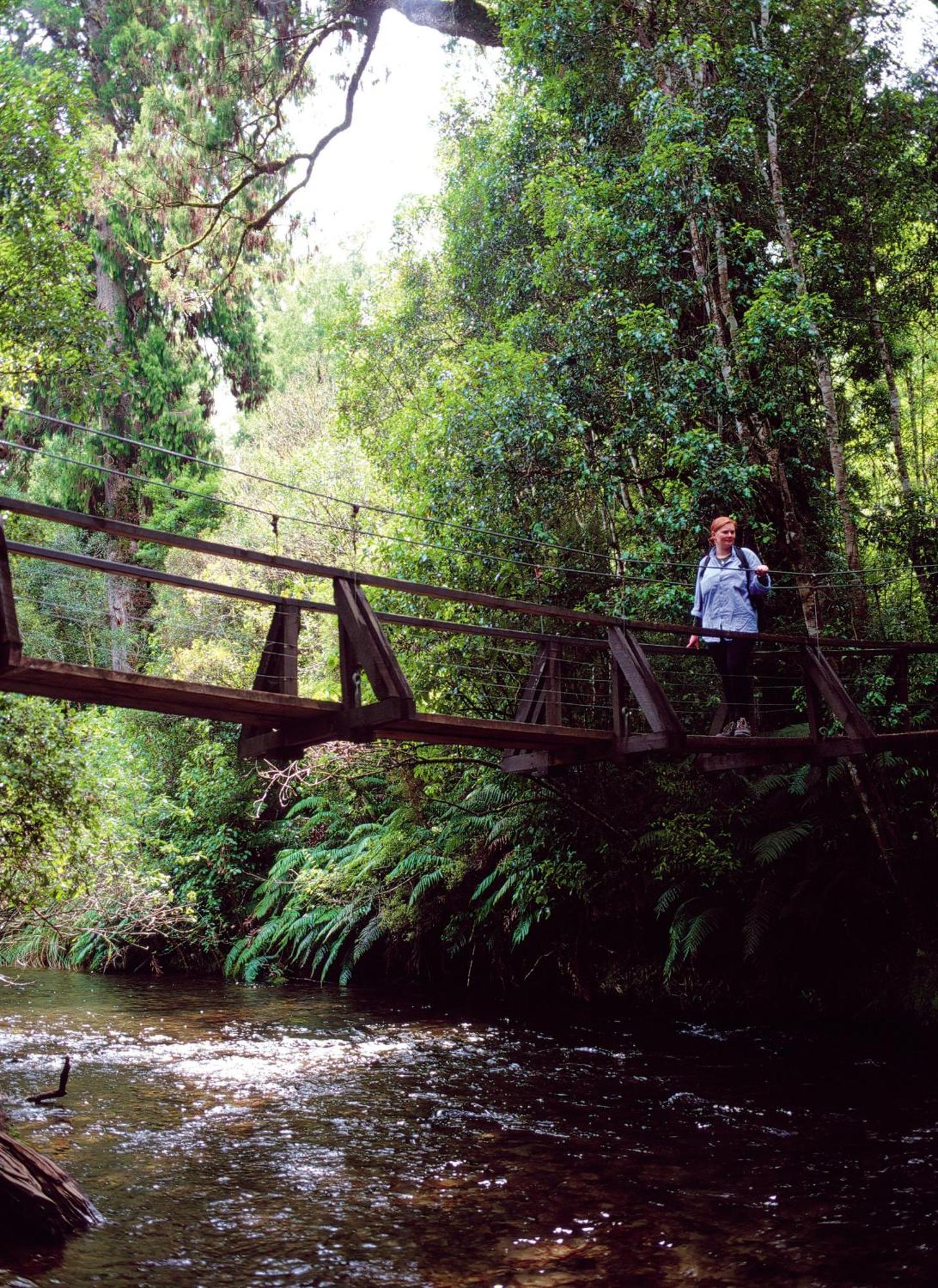 Parklands Motorlodge & Holiday Park Turangi Eksteriør bilde